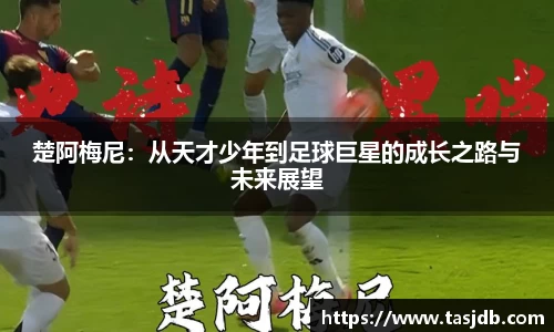 VSport - 胜利因您更精彩